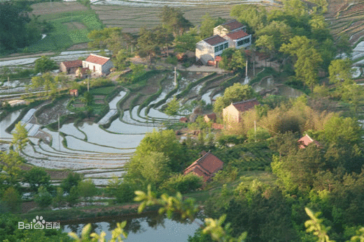 蔣集河南村