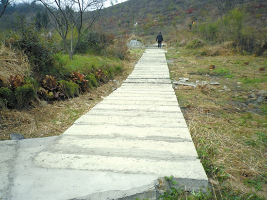 咱村修條水泥路