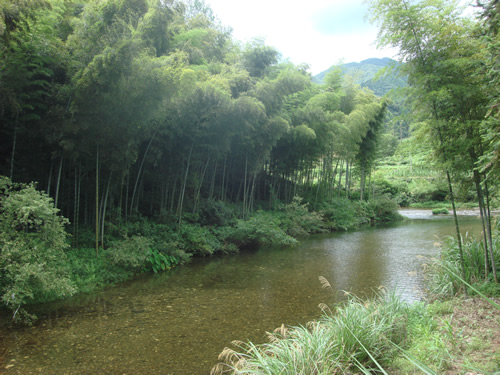 方家嶺古道