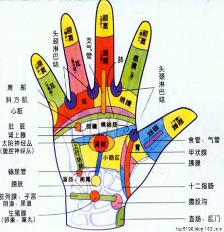 手足保健手冊