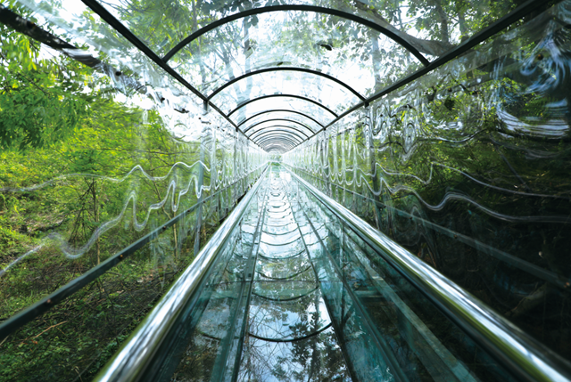 湖南雲台山茶旅集團文化有限公司