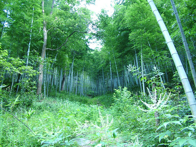 衡陽市衡南岐山旅遊區