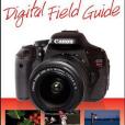 Canon EOS Rebel T3i / 600D Digital Field Guide