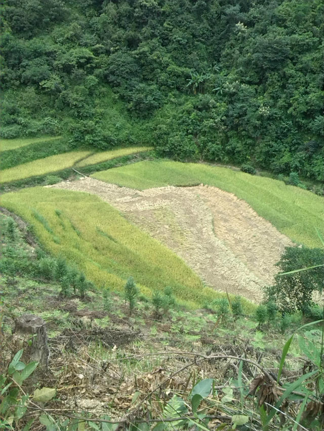 老龍溝村