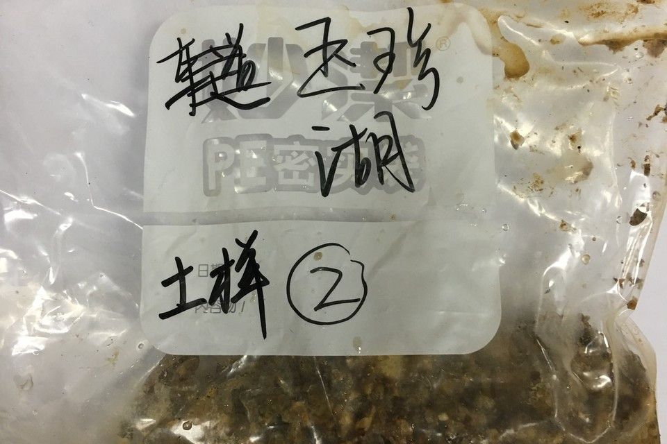 第33次南極中山站湖泊表層沉積物YZ-2