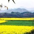 農場村(雲南省姚安縣棟川鎮農場村)