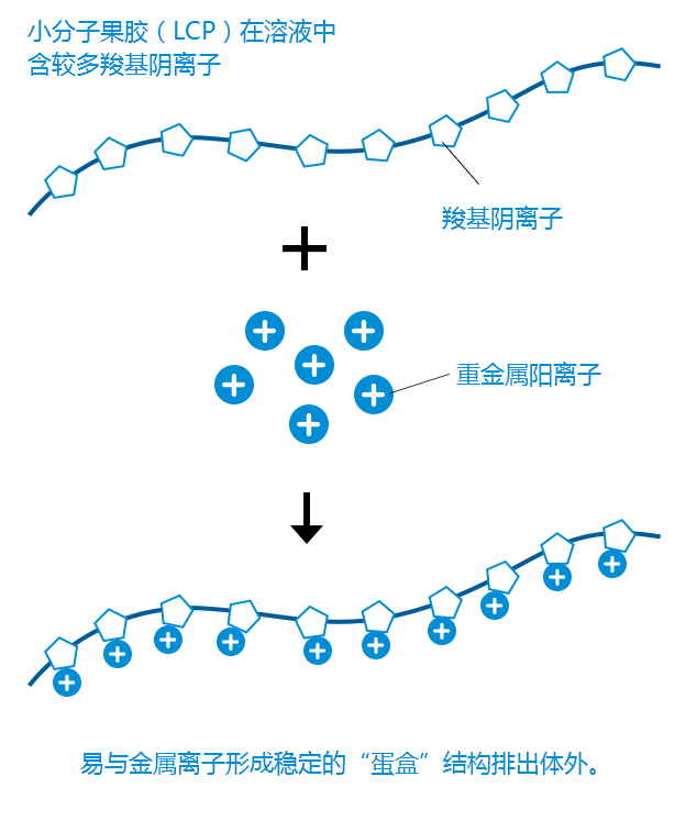 小分子果膠