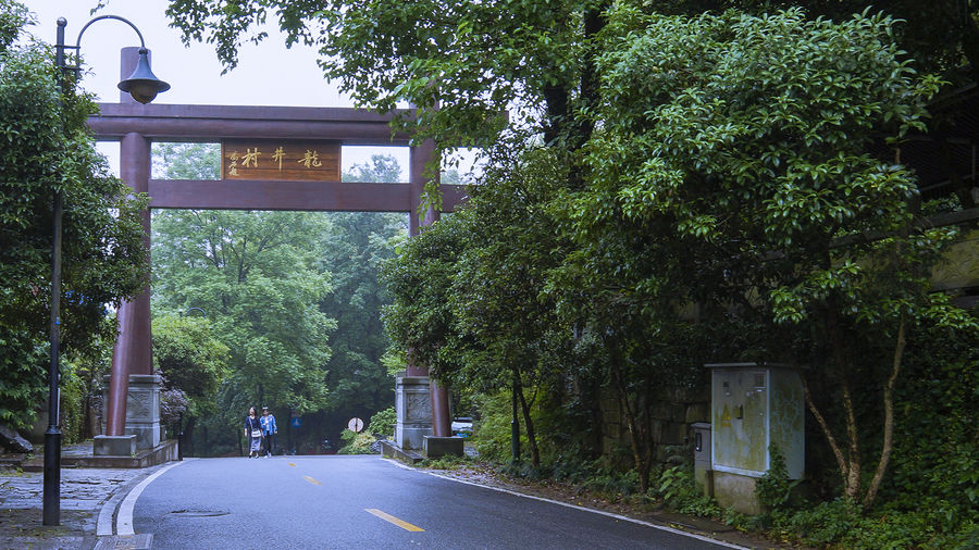 龍井村(雲南省尋甸縣塘子鎮下轄村)