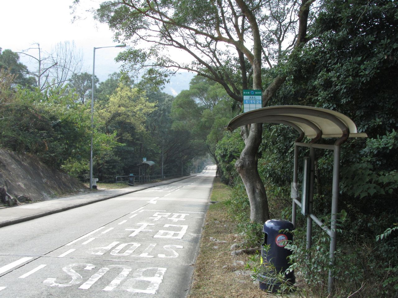 新鳳村(廣東惠來縣河林鄉下轄村)