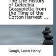 The Life History of Gelechia Gossypiella from the Time of the Cotton Harvest ...