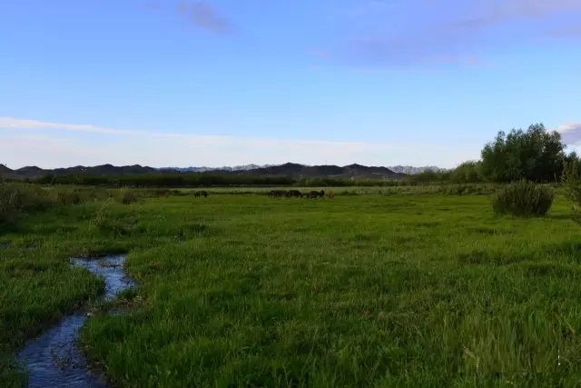 新疆和布克賽爾國家濕地公園