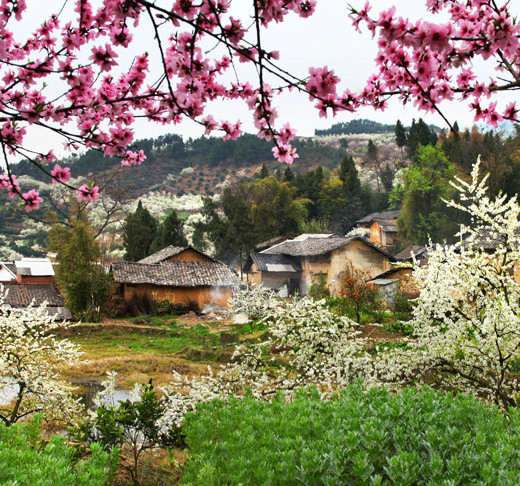 桃條溝村