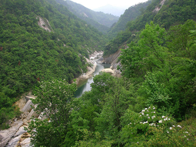 安徽金寨天馬國家級自然保護區
