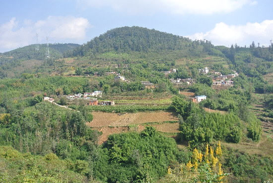 大箐村(雲南賓川縣力角鎮下轄村)