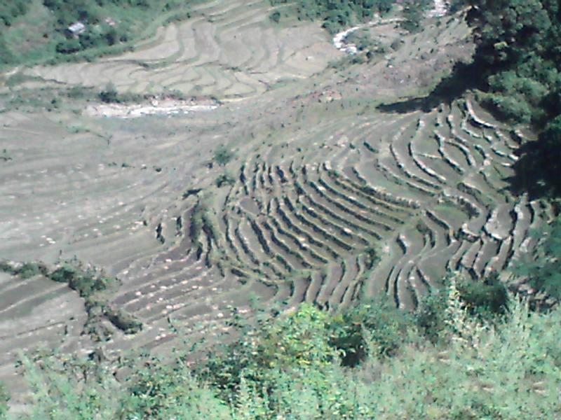 雲南省鳳慶縣大寺鄉路山村梯田