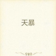 天暴(圓日星河所著小說)