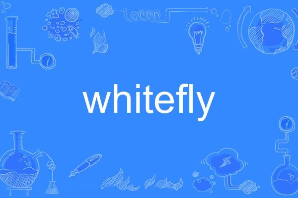 whitefly