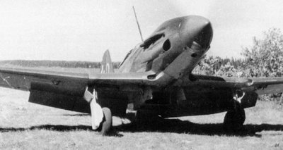 1941 年夏，第 401 戰鬥機團的 MiG-3