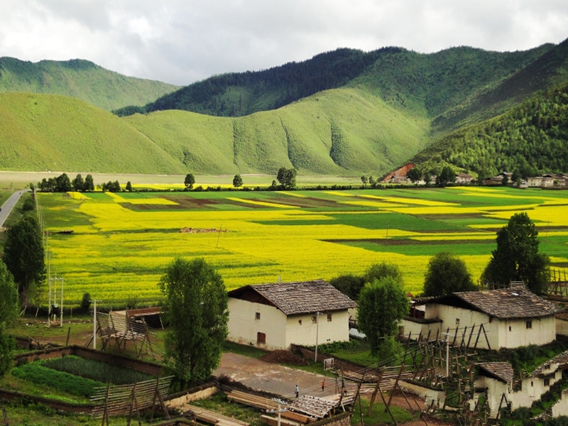 尼史村