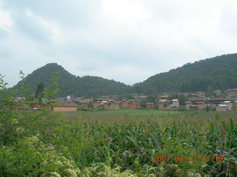 壩上村(雲南紅河州瀘西縣午街鋪鎮下轄村)