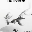 TETK獵星