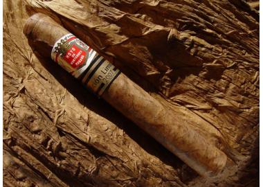 hoyo de monterrey double corona雪茄圖片