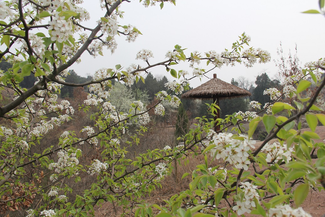 馬陵山風景名勝區