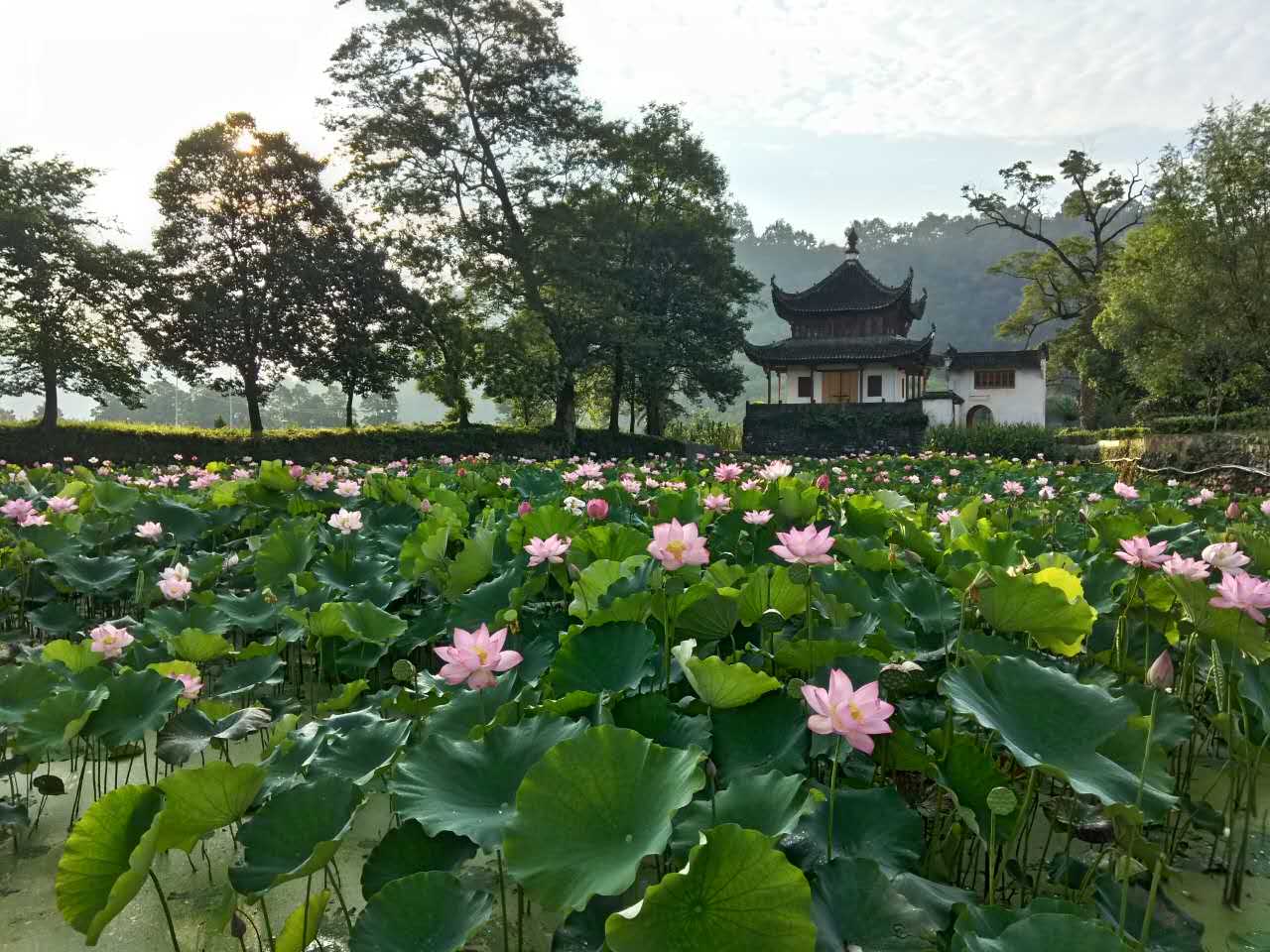 藍田村(安徽省黃山市歙縣溪頭鎮藍田村)