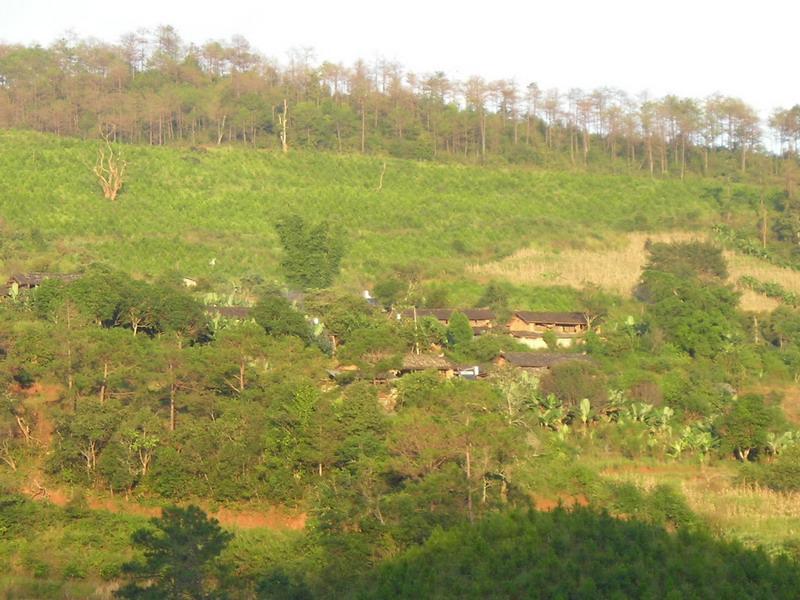 麻力樹田自然村