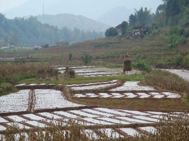 團墩村