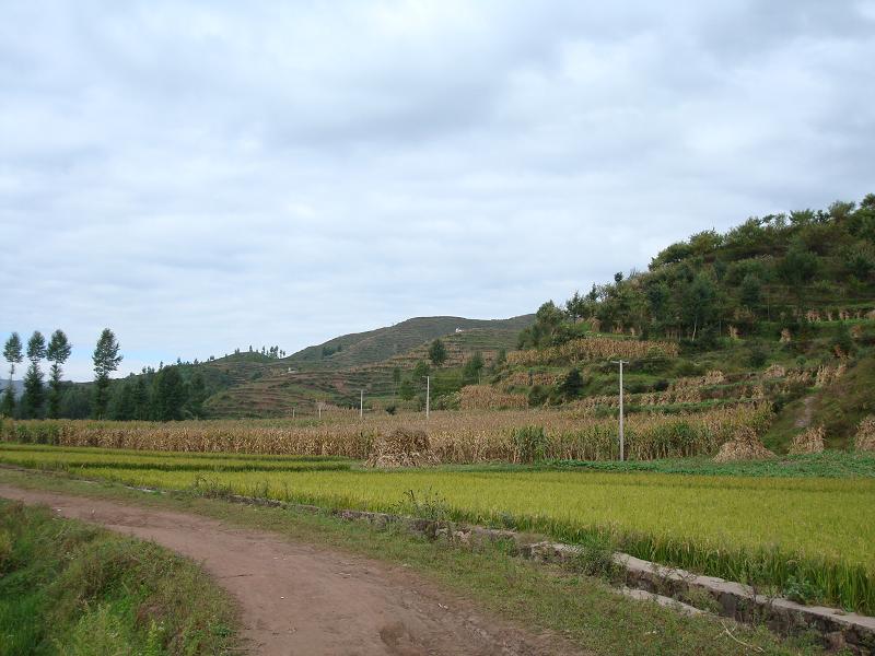 魯甸縣龍樹鄉蔣家灣自然村