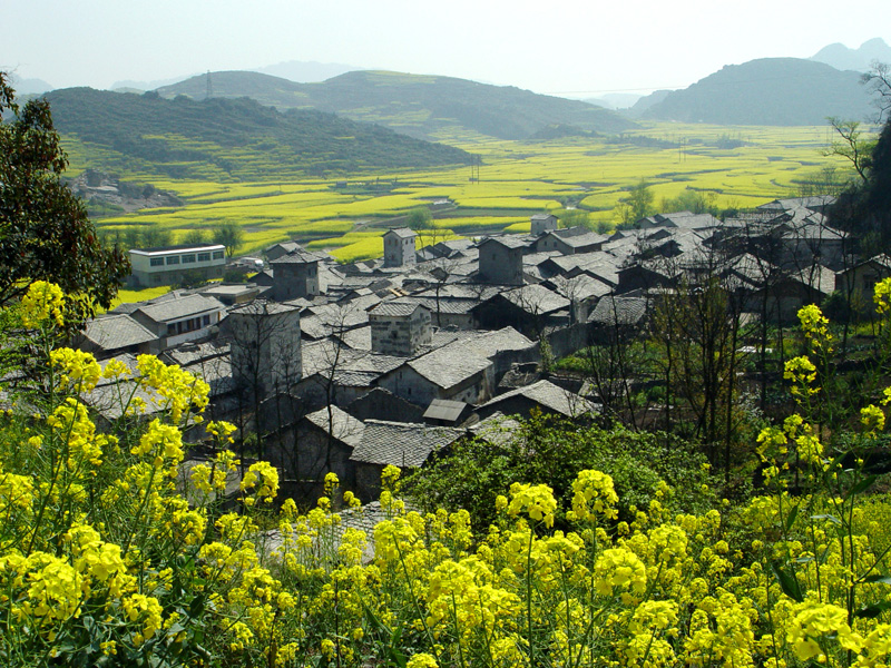 雲山屯村