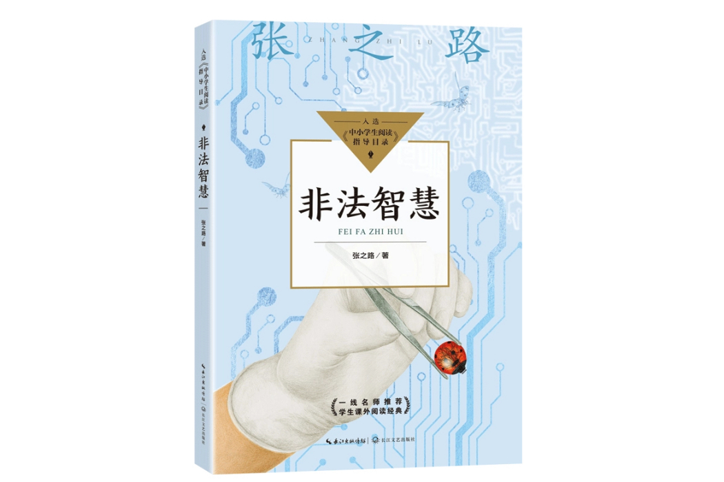 非法智慧(2021年長江文藝出版社出版的圖書)