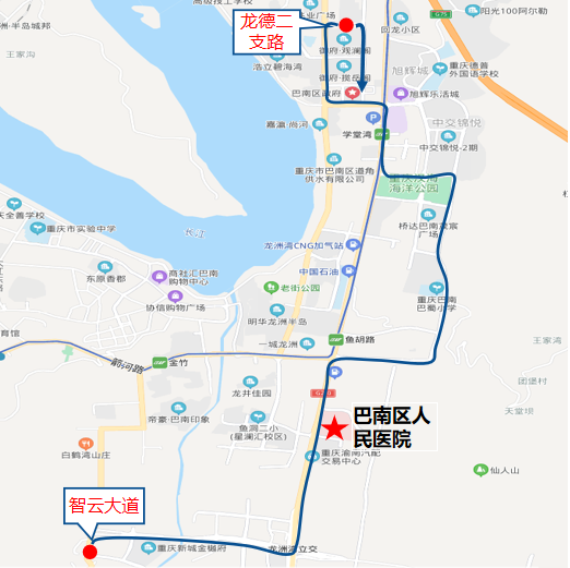 重慶公交1106路