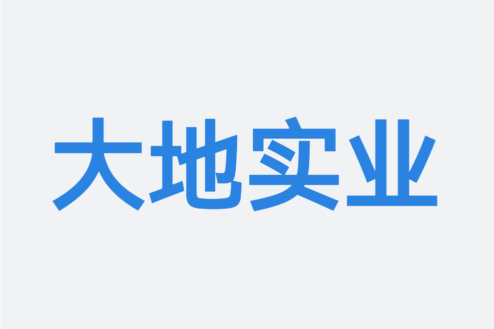 聊城市大地實業有限責任公司