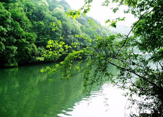 靄里村