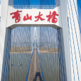 青山大橋(中國湖北省武漢市境內過江通道)