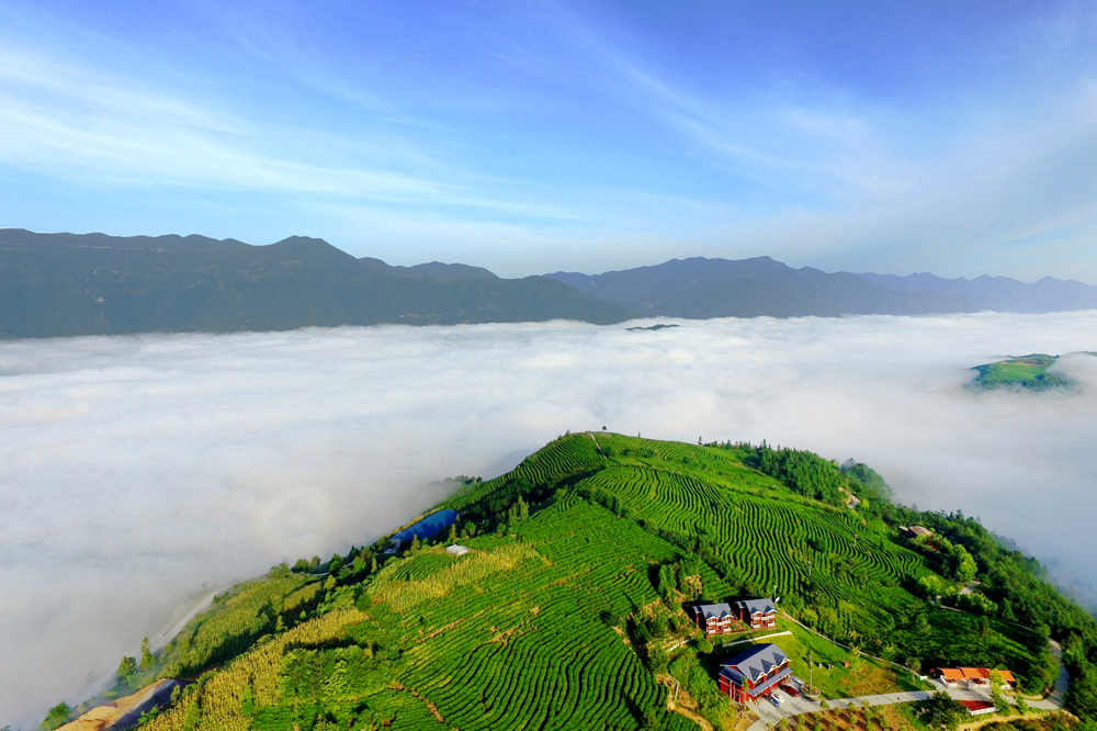 觀雲山