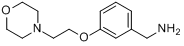 [3-（2-嗎啉乙氧基）苯基]甲胺