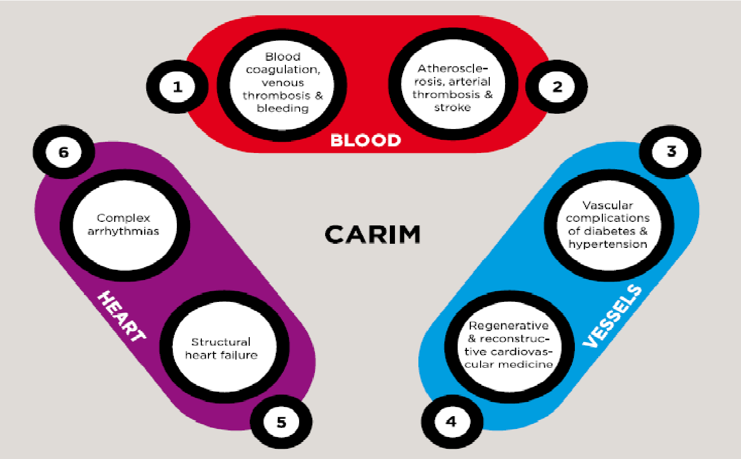 CARIM研究組分類