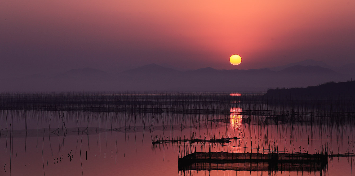 升金湖(中國鶴湖)