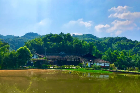 王家大院(四川省宜賓市江安縣仁和鎮境內的一處古蹟)