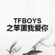 TFBOYS之笨蛋我愛你