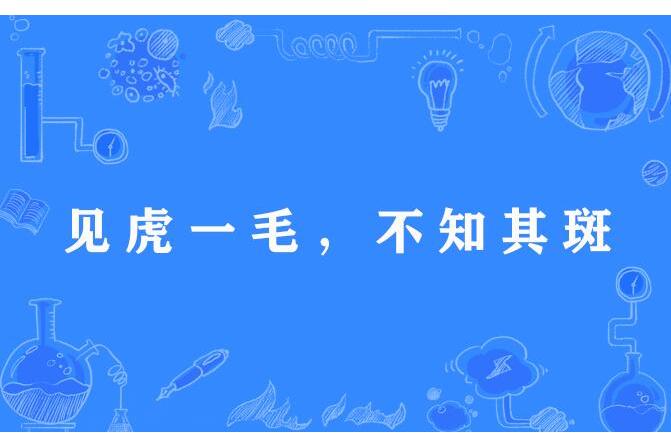 見虎一毛，不知其斑