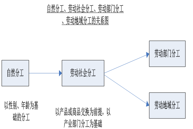 勞動地域分工理論