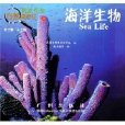 新法布爾自然觀察法19：海洋生物