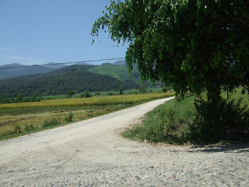 高里村