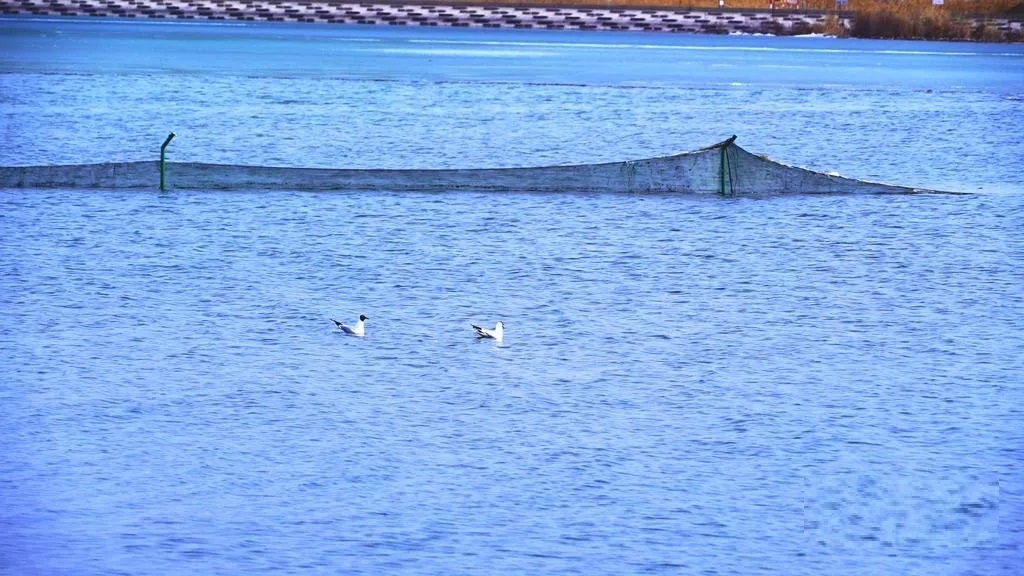 沙灣千泉湖國家濕地公園