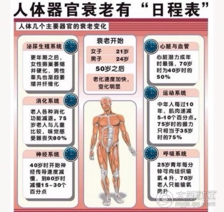 人體各個器官衰老時間表