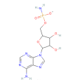 腺苷-5ˊ-氨基磷酸鈉鹽